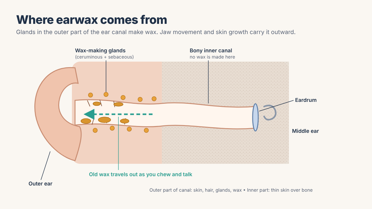 What Is Earwax, and Should You Remove It?